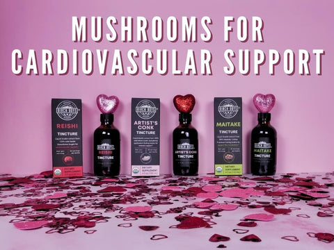 Mushrooms for cardiovascular support*