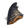 Chaga chunk