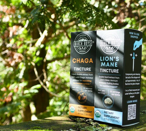 A box of Birch Bouyss Chaga Tincture and Lion's Mane Tincture dietary supplements standing on a mossy log with a blurred forest background.
