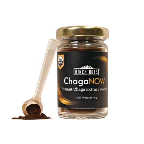 Instant chaga extract powder jar with label and small scoop of dark powder