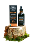 Birch Boys chaga tincture bottle and box beside chaga mushroom slice
