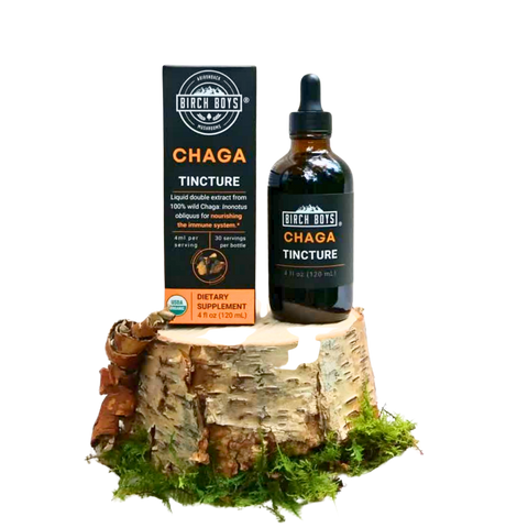 Birch Boys chaga tincture bottle and box beside chaga mushroom slice
