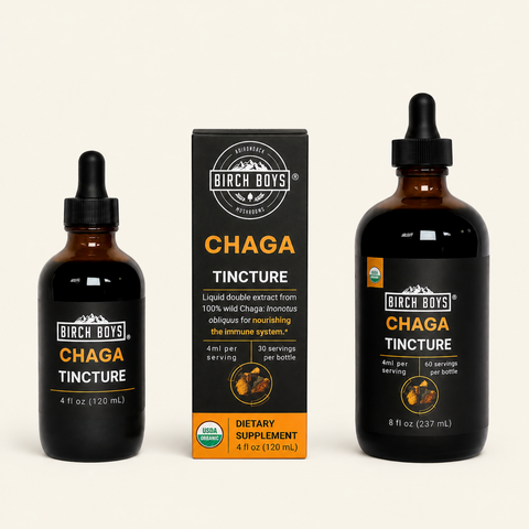 Three-pack layout of Birch Boys chaga tincture bottles with black droppers and box