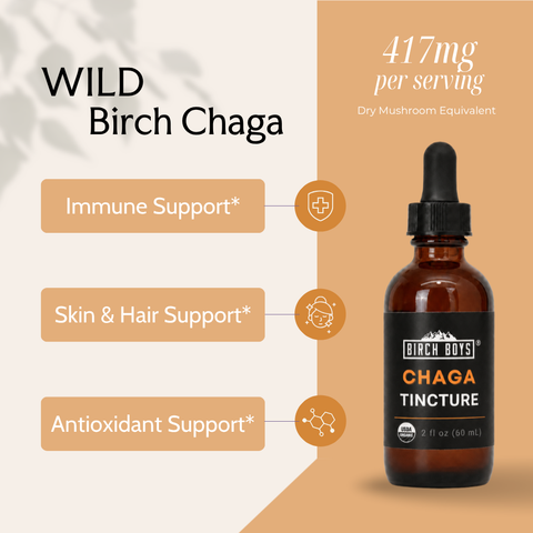 Organic Chaga Tincture