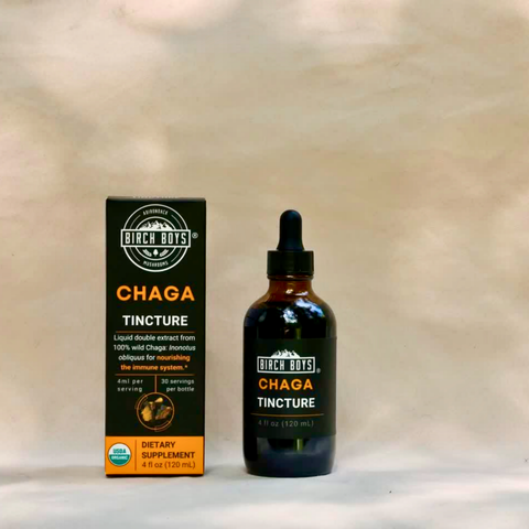 Birch Boys chaga tincture bottle with black dropper and matching product box