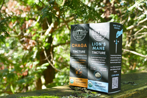 Two dietary supplement boxes labeled 'Chaga' and 'Lion's Mane' on a wooden surface with a natural background.