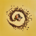 Several mushrooms surrounded by coffee beans in a swirl pattern