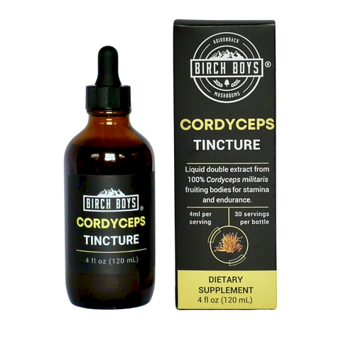 Cordyceps Tincture