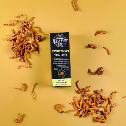 Birch Boys Cordyceps Tincture box on a yellow background with Cordyceps fruiting bodies scattered around.