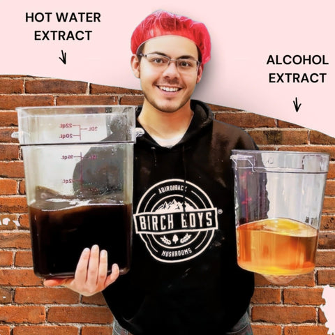 Person holding containers labeled 'Hot Water Extract' and 'Alcohol Extract' with a brick wall background.