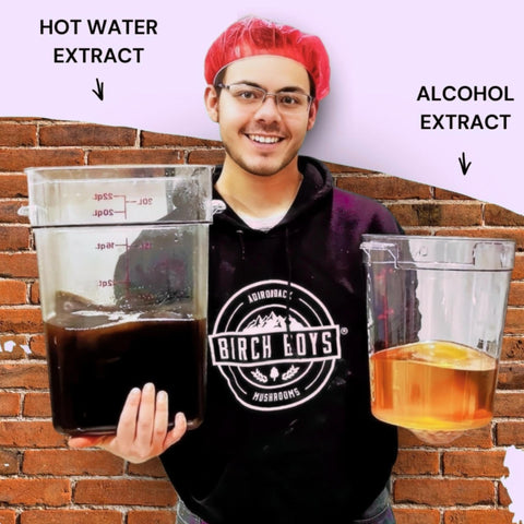 Person holding containers labeled 'Hot Water Extract' and 'Alcohol Extract' with a brick wall background.