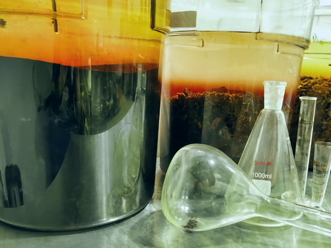 Mushroom Alcohol Extracts with Beakers