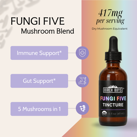 Birch Boys Fungi Five tincture bottle with dropper, organic mushroom blend, 2 fl oz