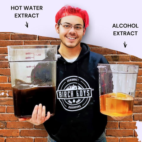 Man holding hot water extract and alcohol extract on a purple and brick background.