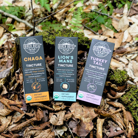 Three tincture boxes labeled 'Chaga', 'Lion's Mane', and 'Turkey Tail' on a forest floor background.