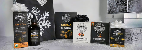 Collection of Chaga products including tincture, chunks, and tea boxes on a gray surface.