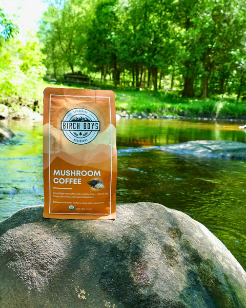 Mushroom Coffee on a rock in a river
