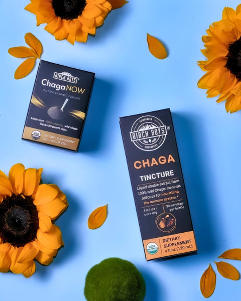 Chaga Tincture and ChagaNOW on a blue background with sunflowers