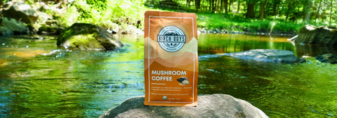 Mushroom Coffee on a rock in a river