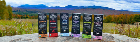 Six Birch Boys mushroom tincture boxes standing upright on a stone surface outdoors, with a mountain landscape and autumn field in the background. The packages are labeled Chaga, Reishi, Lion's Mane, Turkey Tail, Maitake and Artist's Conk