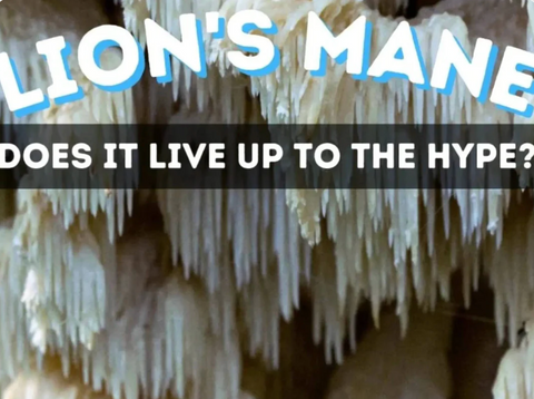 Close-up of lion's mane mushrooms with text overlay questioning if it lives up to hype.