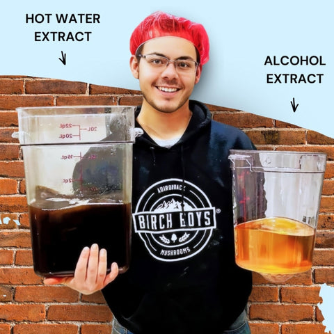 Person holding containers labeled 'Hot Water Extract' and 'Alcohol Extract' with a brick wall background.