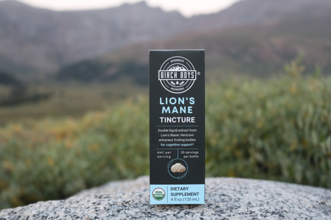 A tall black box of Birch Boys Lion's Mane Tincture stands upright on a stone surface with a blurred mountain and grassy landscape in the background.
