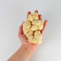 Hand holding a fresh Lion's Mane mushroom against a plain background