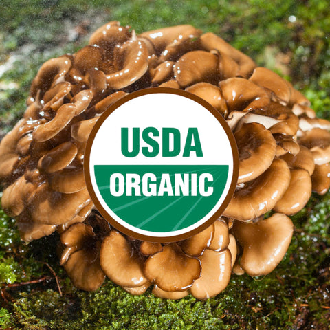Mushrooms on a green background with USDA Organic label