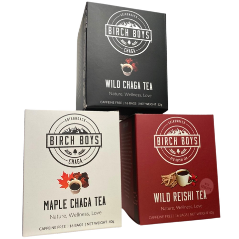 Fungal tea bundle with Birch Boys boxed teas: Wild Chaga, Maple Chaga, Wild Reishi