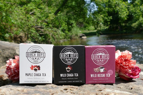 Three Birch Boys tea boxes standing on a rock outdoors by a river, with pink flowers placed beside them. The boxes are labeled Maple Chaga Tea, Wild Chaga Tea, and Wild Reishi Tea.