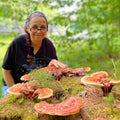Woman with large reishi mushrooms in a forest setting