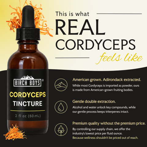 Cordyceps Tincture