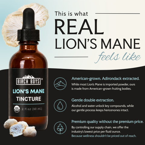 Organic Lion's Mane Tincture