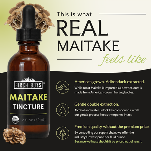 Organic Maitake Tincture