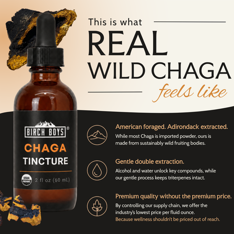 Organic Chaga Tincture