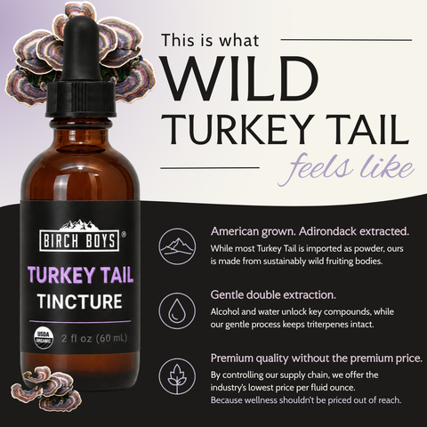 Organic Turkey Tail Tincture