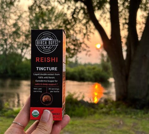 A hand holds a black box of Birch Boys Reishi Tincture against a blurred outdoor sunset background with trees and warm light.