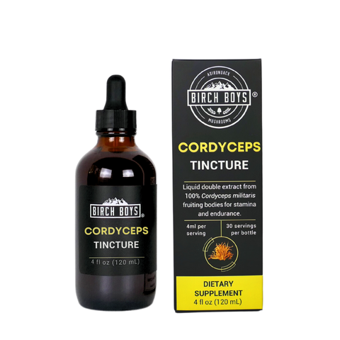 Cordyceps Tincture