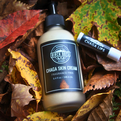 Chaga Skin Cream bottle and Chaga Lips balm on autumn leaves