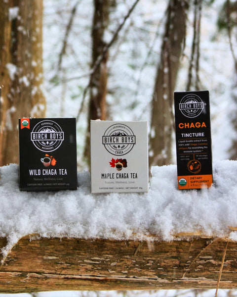 Chaga tea packages on a snowy log with a forest background