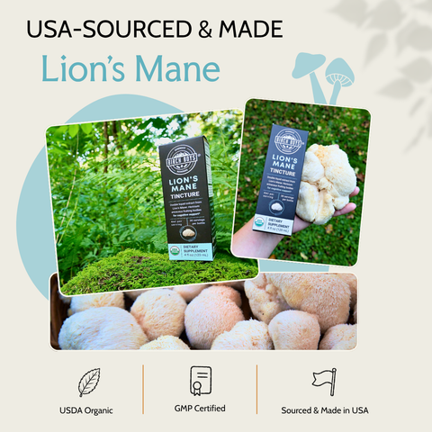 Organic Lion's Mane Tincture