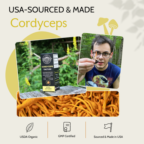 Cordyceps Tincture