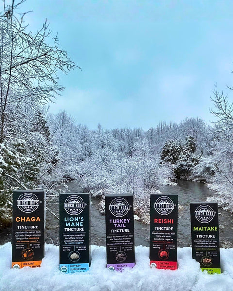 Mushroom Tinctures products displayed in the snow with a snowy landscape in the background