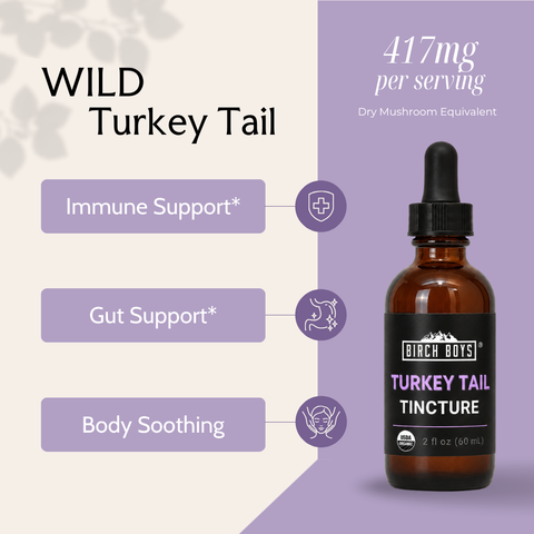 Turkey tail tincture bottle with amber glass and purple label, 2 fl oz (60 mL)