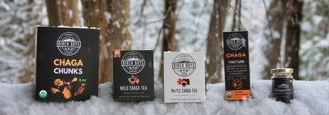 Collection of Chaga products from Birch Boys in a snowy outdoor setting