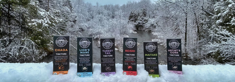Row of black mushroom tincture boxes with colorful labels in a snowy forest setting
