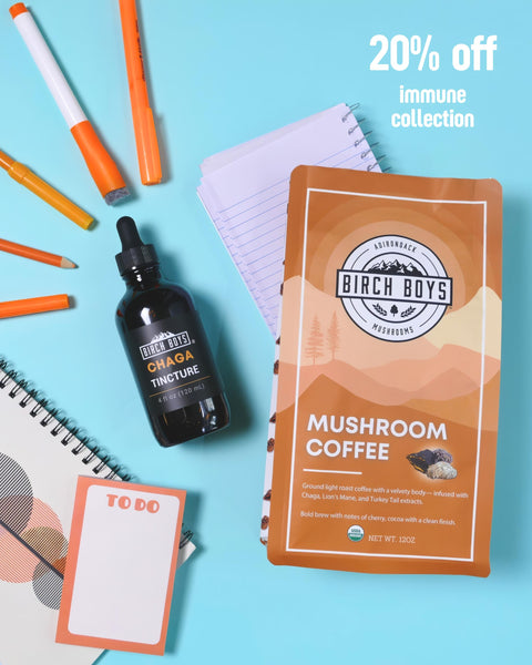 Birch Boys Chaga Tincture and Mushroom Coffee package on a blue background with stationery items.