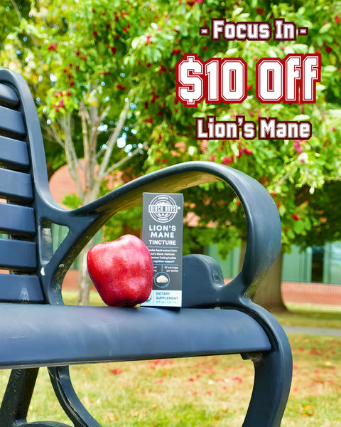 Bottle of 'Light's Man Tincture' and an apple on a college park bench with trees in the background