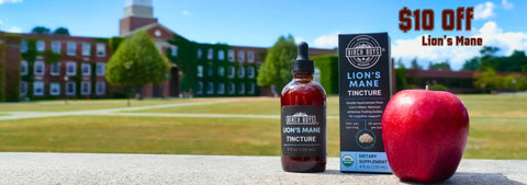 Bottle of Lion's Mane extract, packaging, and red apple on a surface with a college building in the background.